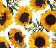 FLORISTA