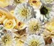 FLORISTA